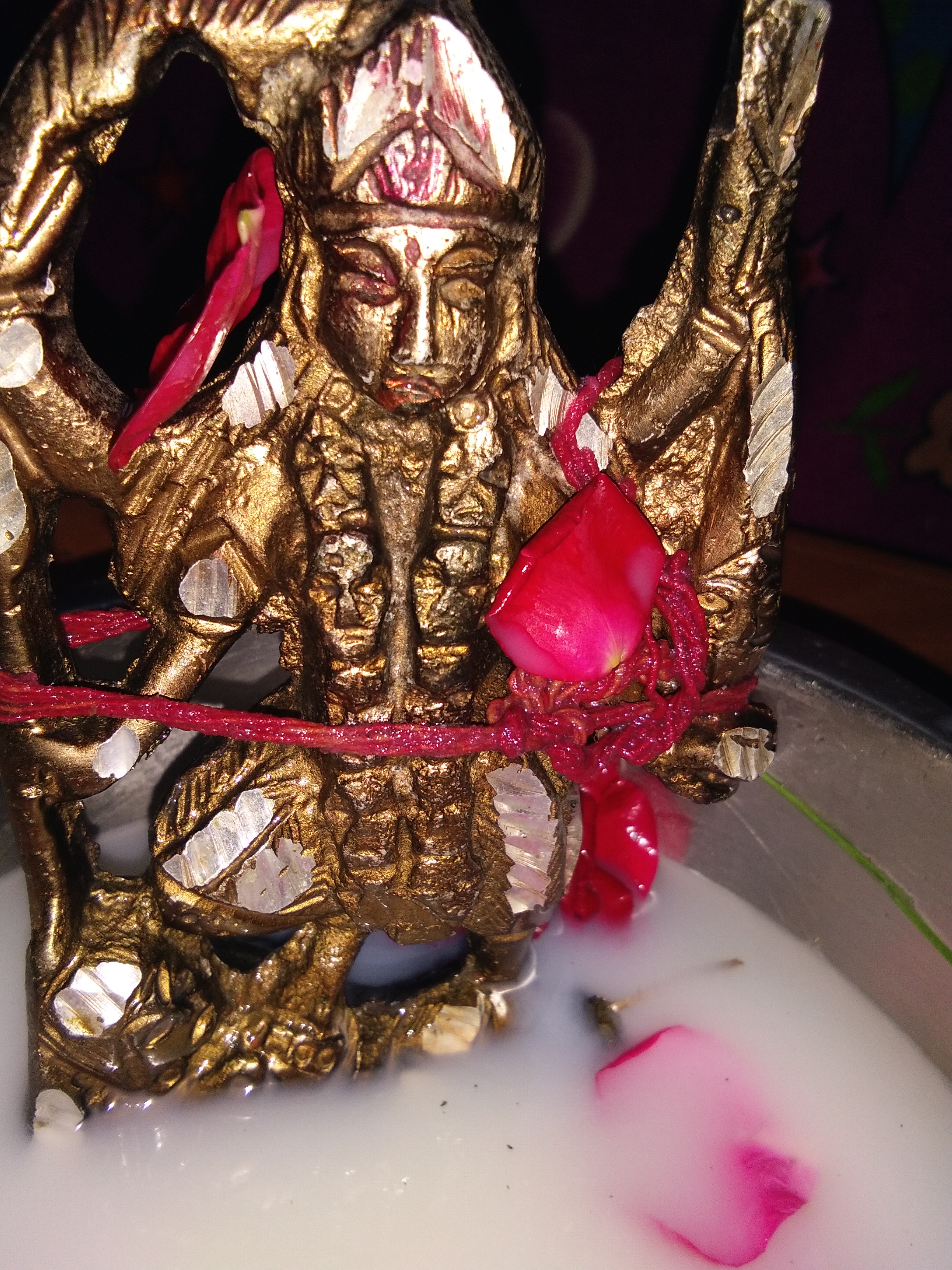 काली हवन यज्ञ तर्पण